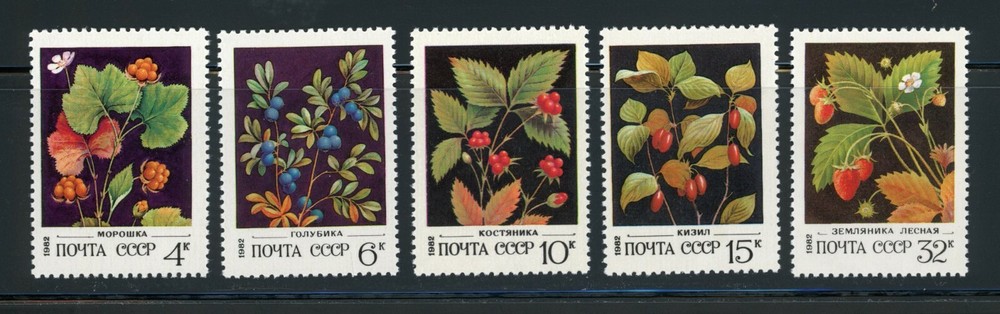 Russia Complete MNH Set #5023-5027 Berry Bushes Stamps