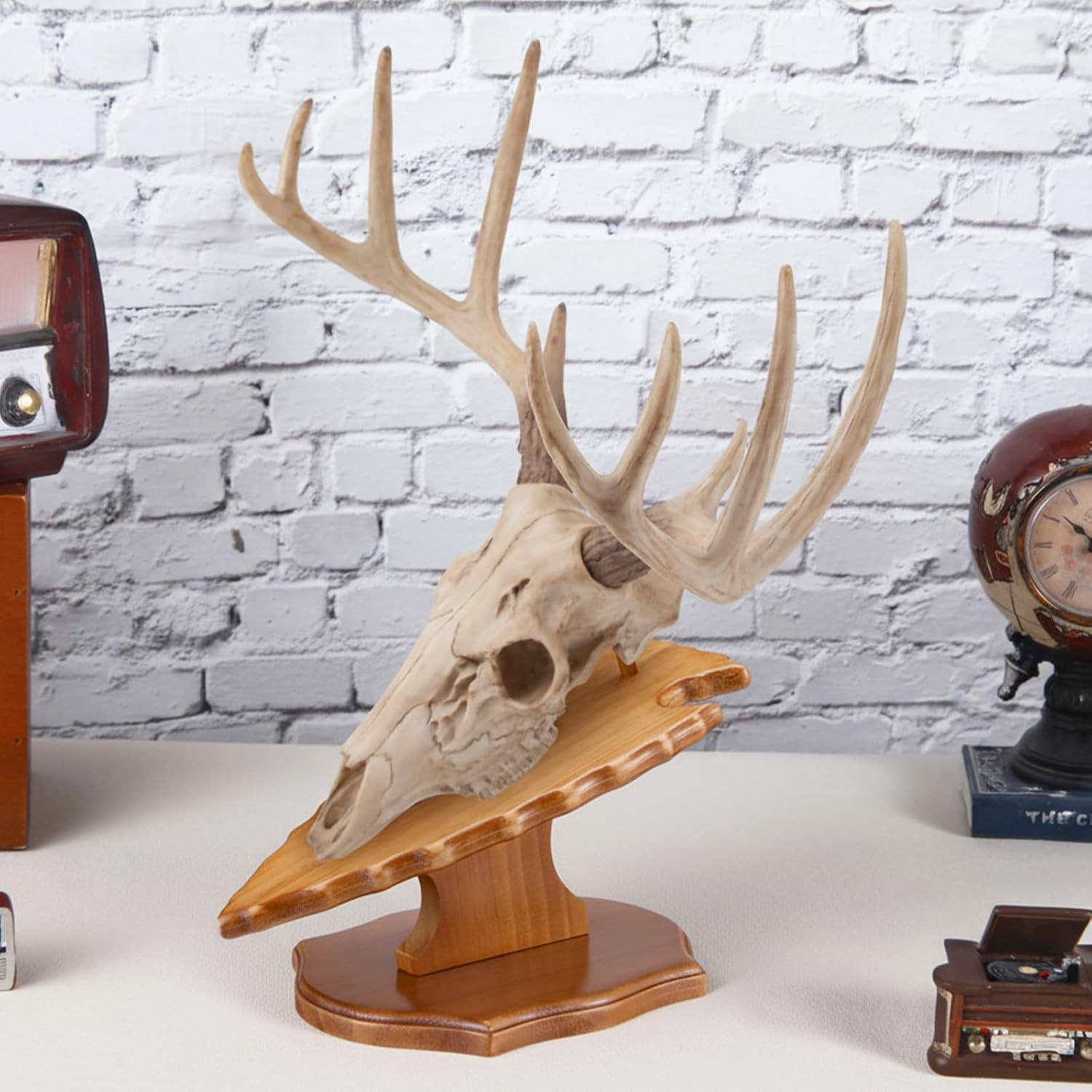 3 Set Deer European Skull Mount Kit Antler Skull Mounting Kit Wooden Display Mou