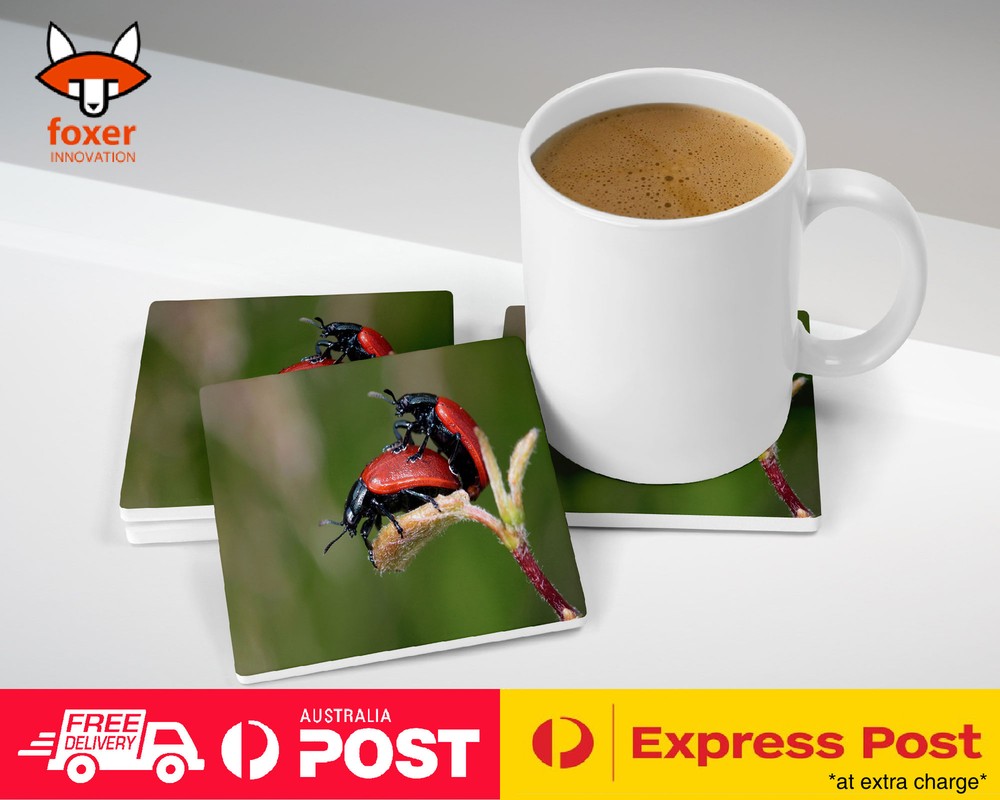 COASTER COFFEE DRINKING MAT|LADYBUG COCCINELLIDAE INSECT #12