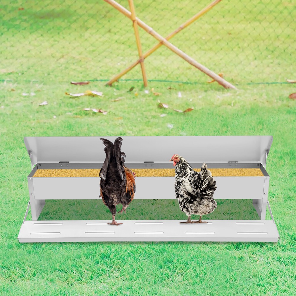 Automatic Chicken Feeder 10kg Capacity | Sturdy Design & Easy Access