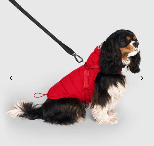 NWT Canada Pooch Harness Puffer