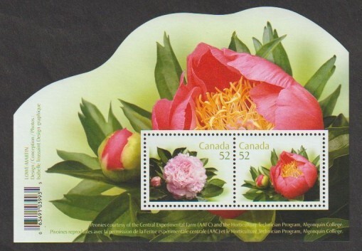 Canada FS 2260 Peony