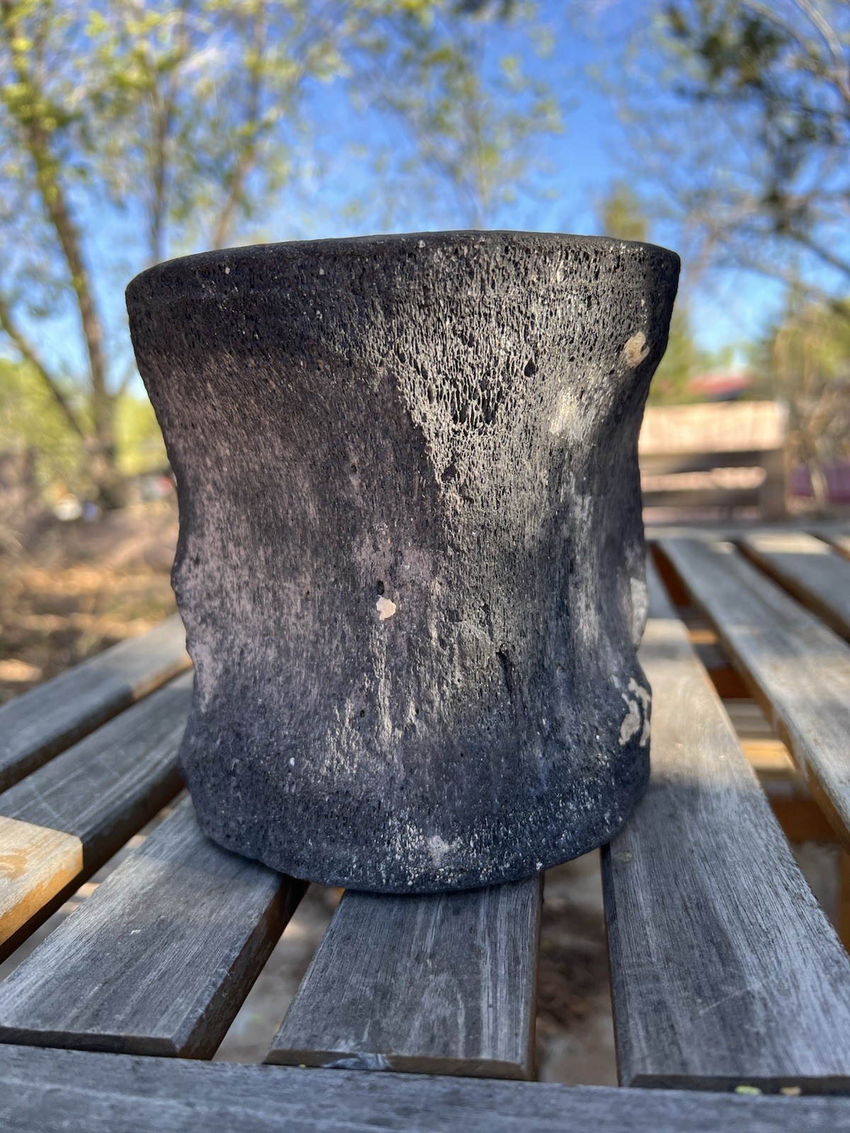 South Florida Whale Vertebrae Fossil
