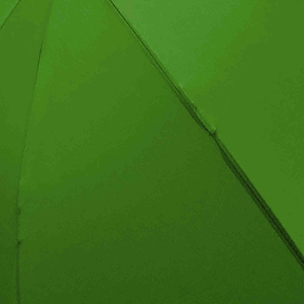 Children's Stick Umbrella W/ Curved Handle