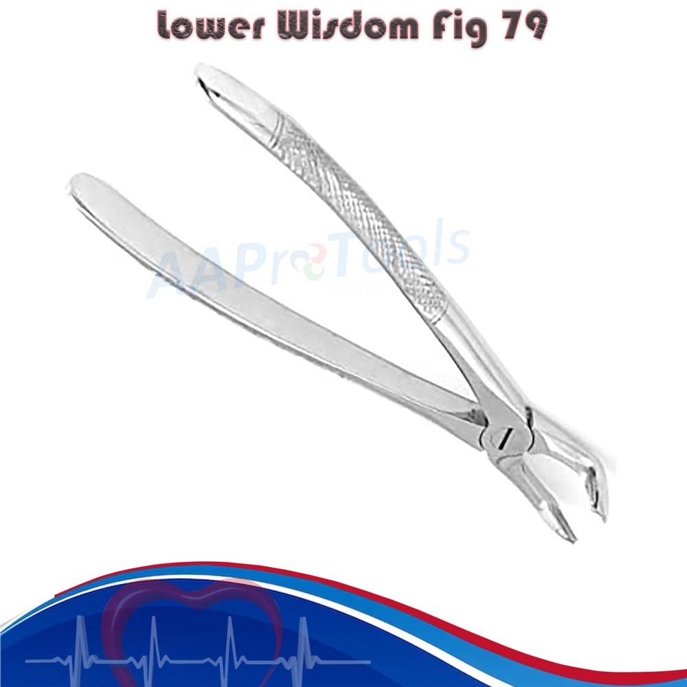 X2 PC Dental Instruments Extraction Forceps For Lower Wisdom Fig 79