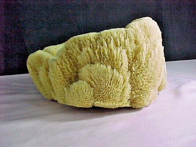 Natural Ocean Sponge Bowl 7" x 7 1/2"