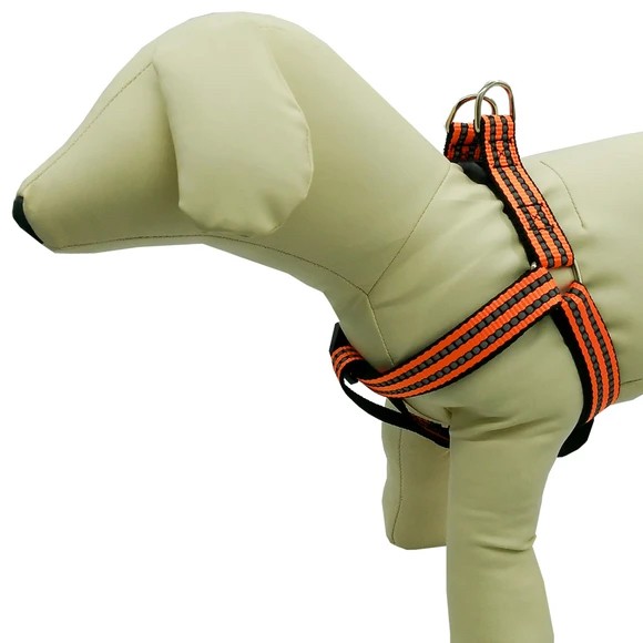 Adjustable Reflective Dog Harness, Assorted Colors, up to 25lbs