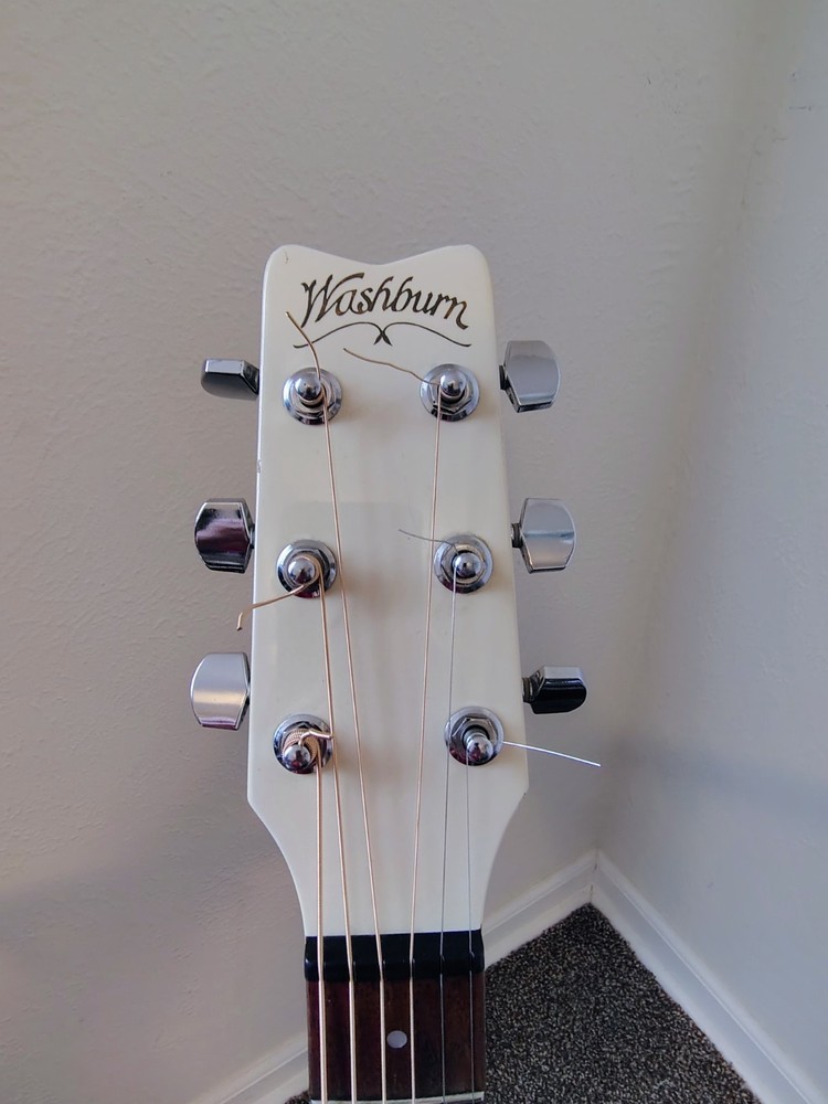 Washburn SBF-24 Thinline with Hard Shell Case