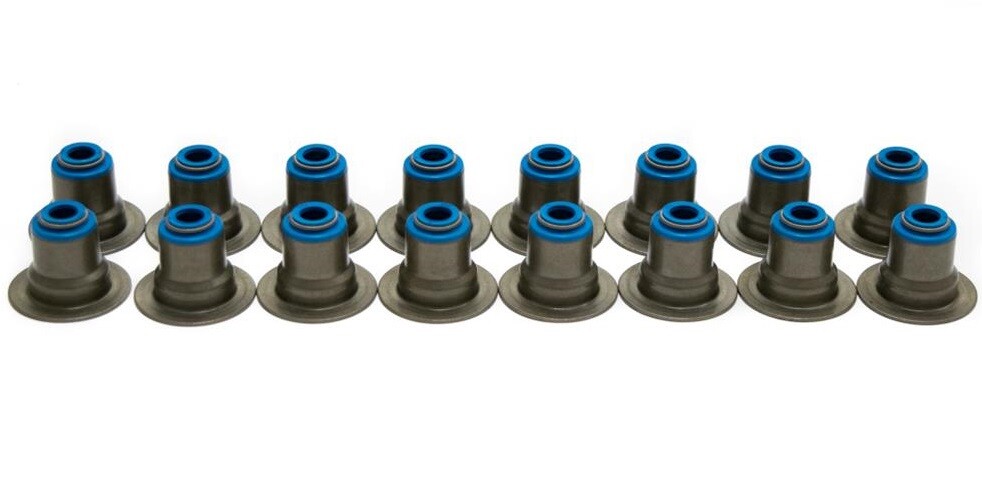 Brian Tooley Racing (BTR) TRUCK NORRIS LS Silverado Sierra Truck Cam Kit 5.3 6.0