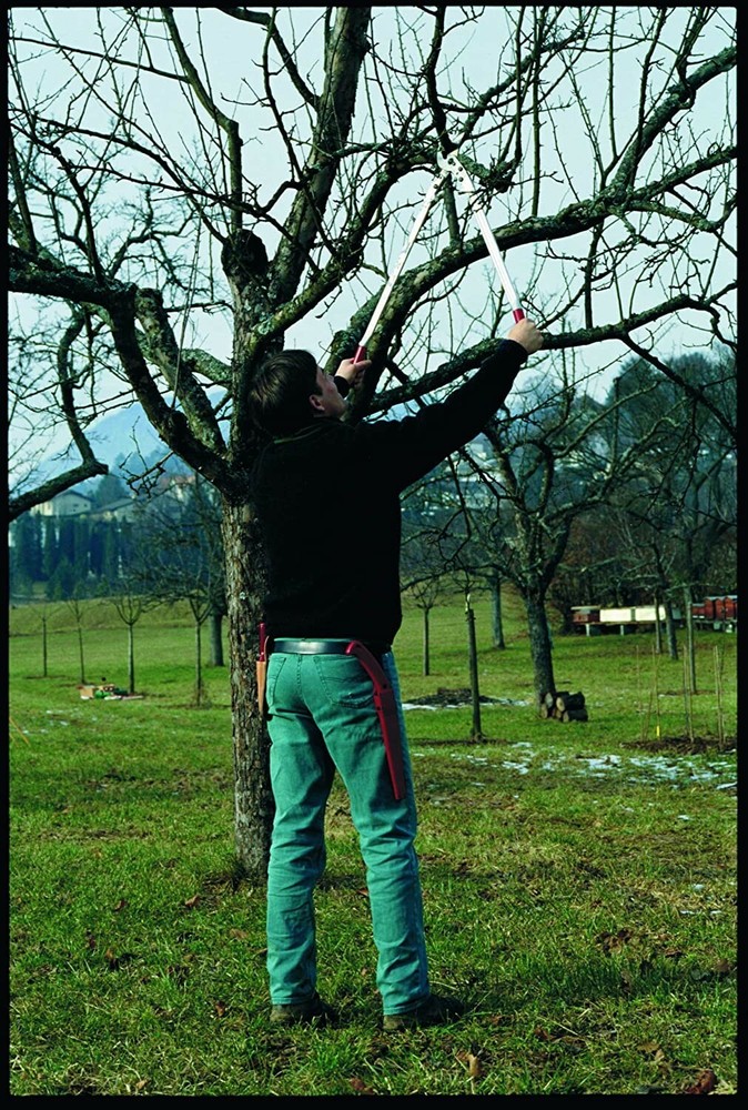 FELCO 22 Two-Hand,Pruning Shear - Lopper