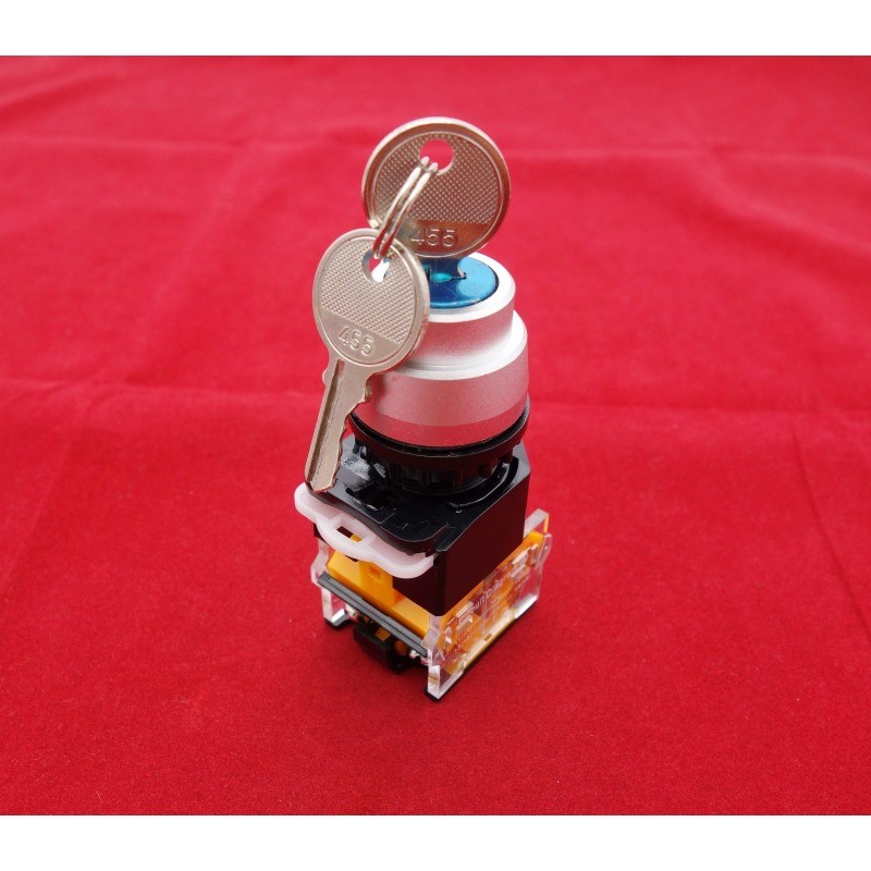 NEW 1X Cutout 22MM Key Selector Switch 2 Position Maintained key switch LAY39