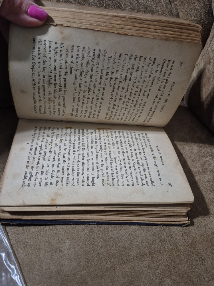 Filling Up The Chinks Rare Vintage Book
