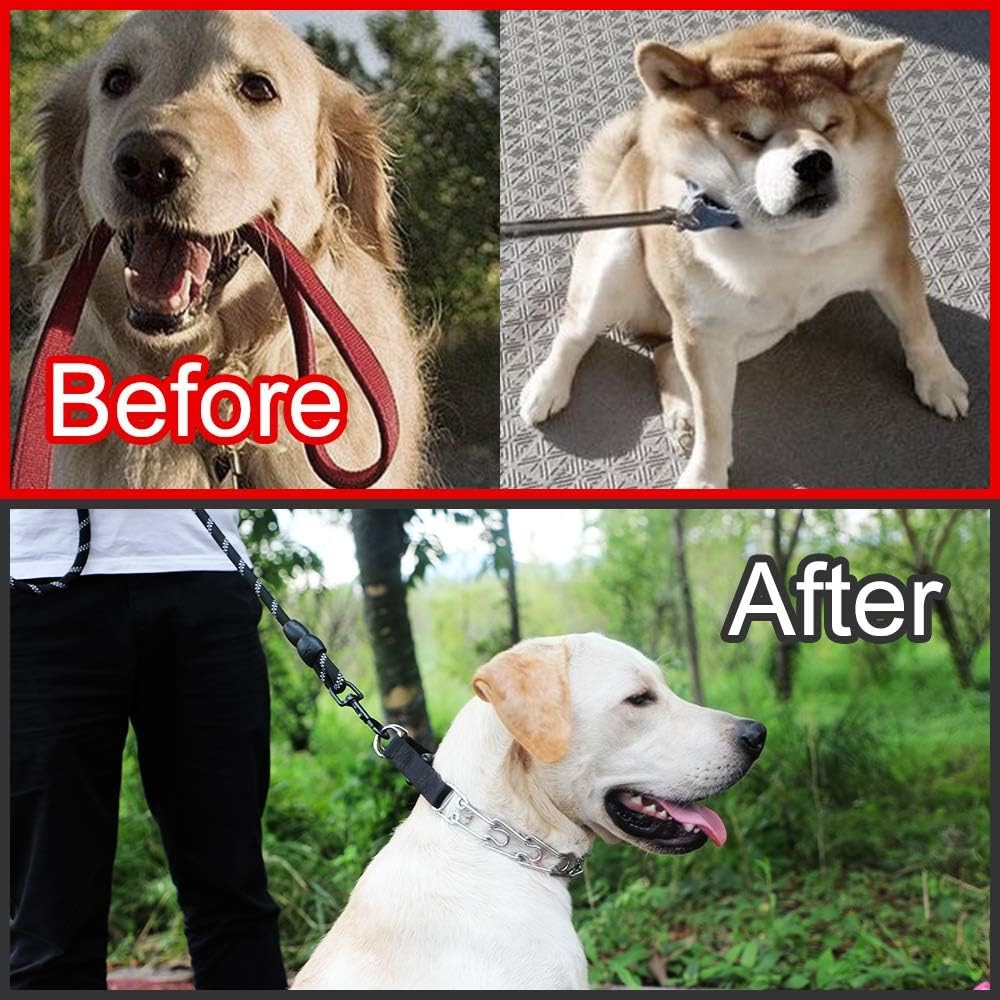 CBBPET Dog Prong Collar Adjustable Training Quick Release