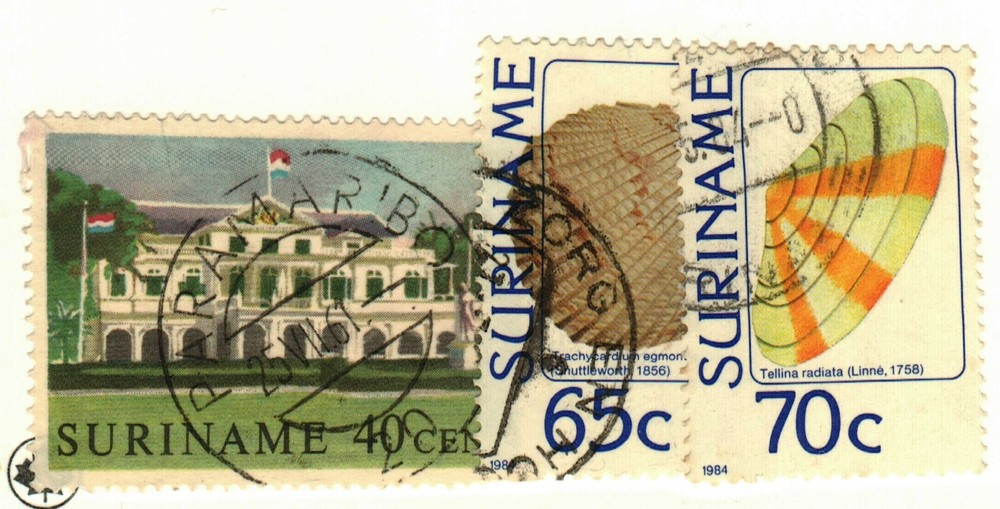 Suriname #297, 670-1 used shells