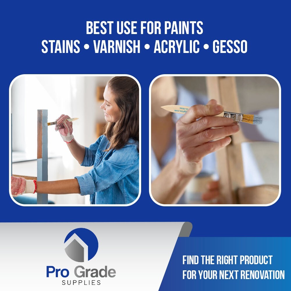 36 Pk- 1/2 inch Chip Paint Brushes for Paint, Stains,Varnishes,Glues,Gesso