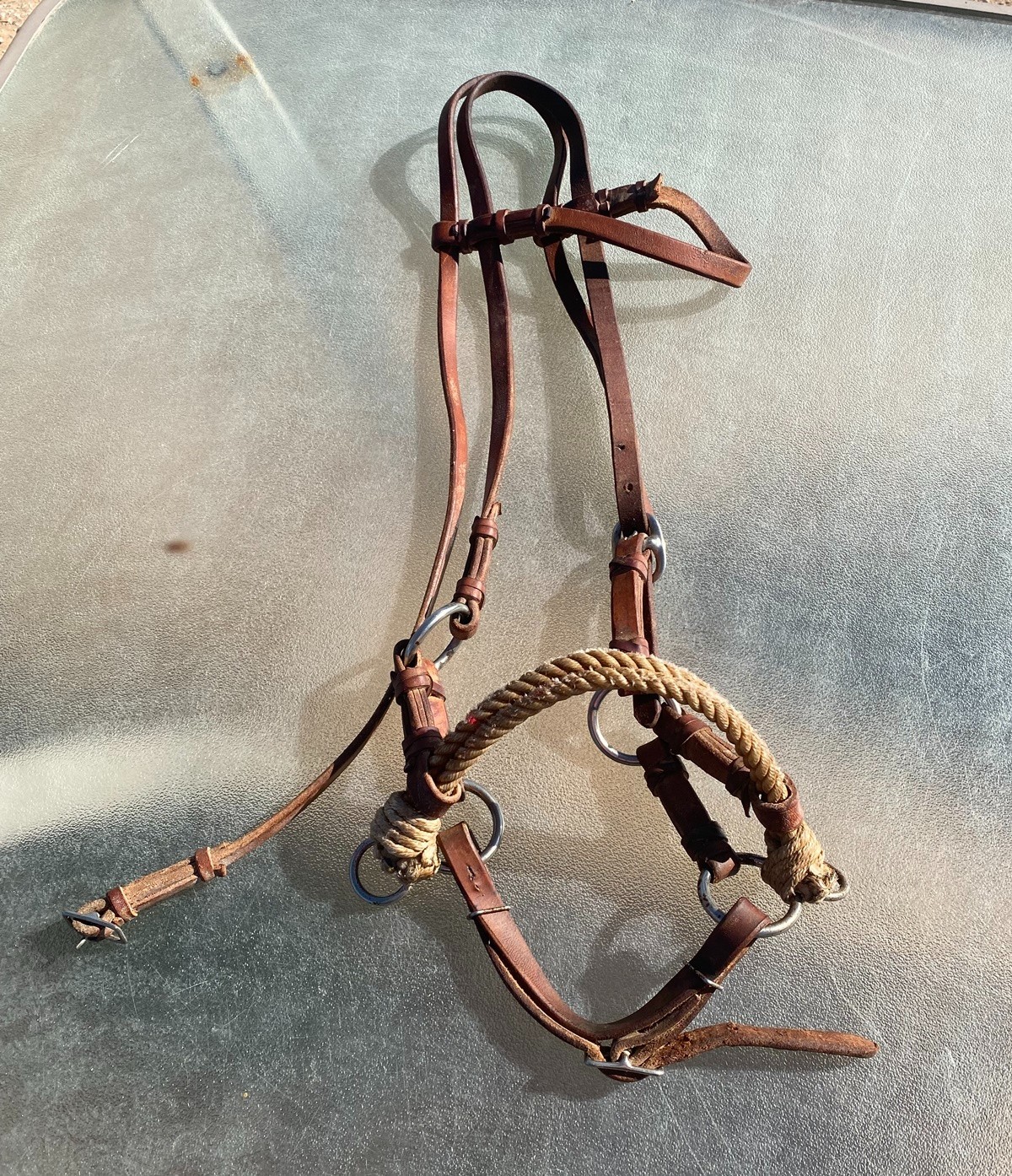 Murphy Leather Western Side Pull Bridle Bitless Training Headstall