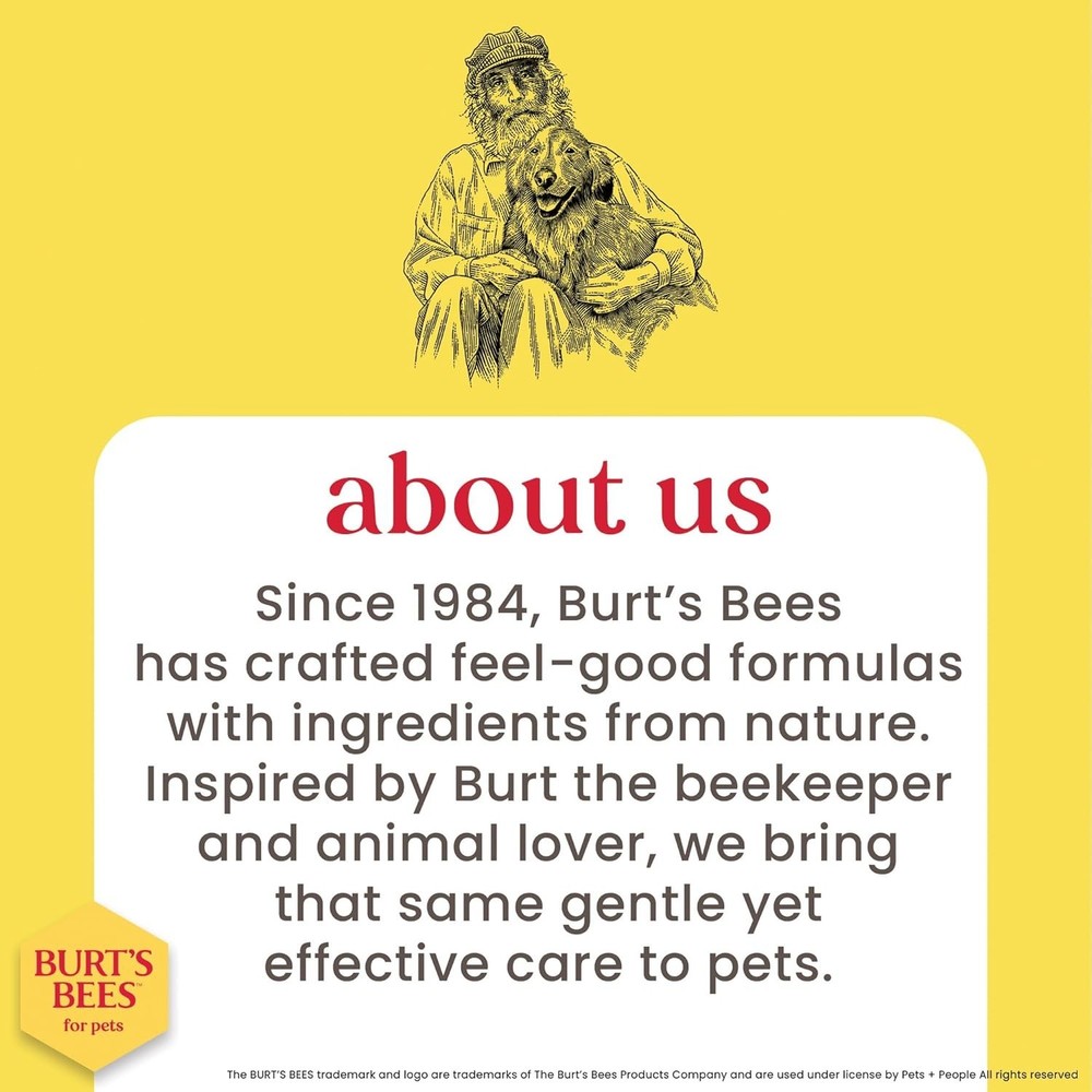 Unscented Kitten Shampoo - 10 Fl Oz Hypoallergenic Solution for Sensitive Skin