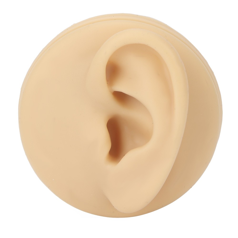 1Pc Soft Silicone Human Ear Model For Ear Acupuncture Practice New