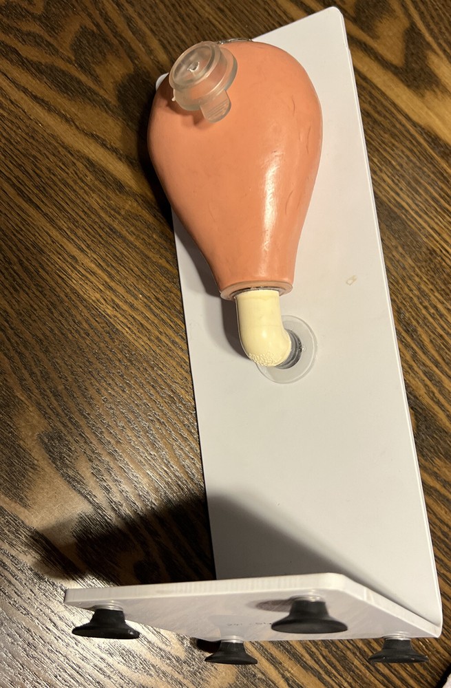 Female Pocket Nurse Catheterization Trainer (Used)