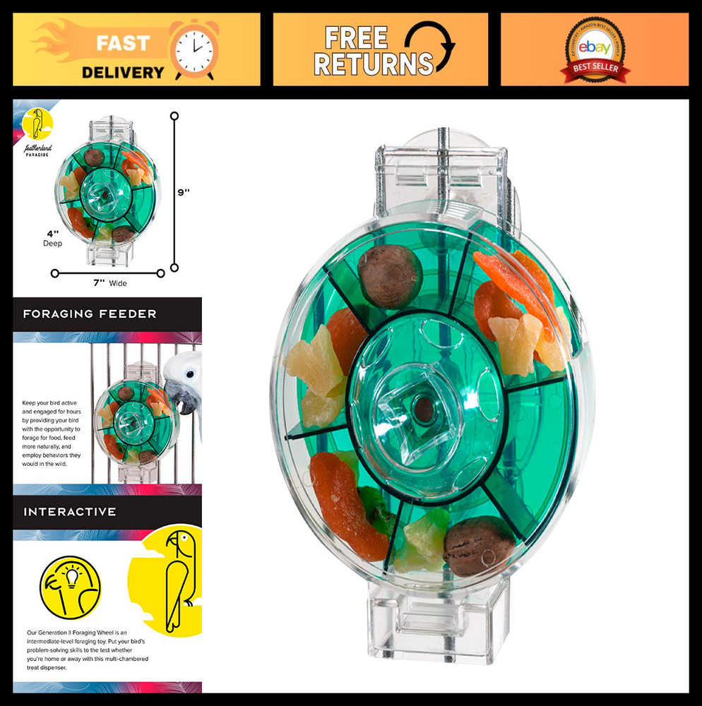 Extra Large Interactive Bird Feeder - Creative Foraging Wheel for Large Birds -