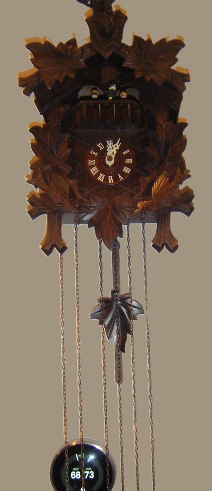 Black Forest cuckoo-clock