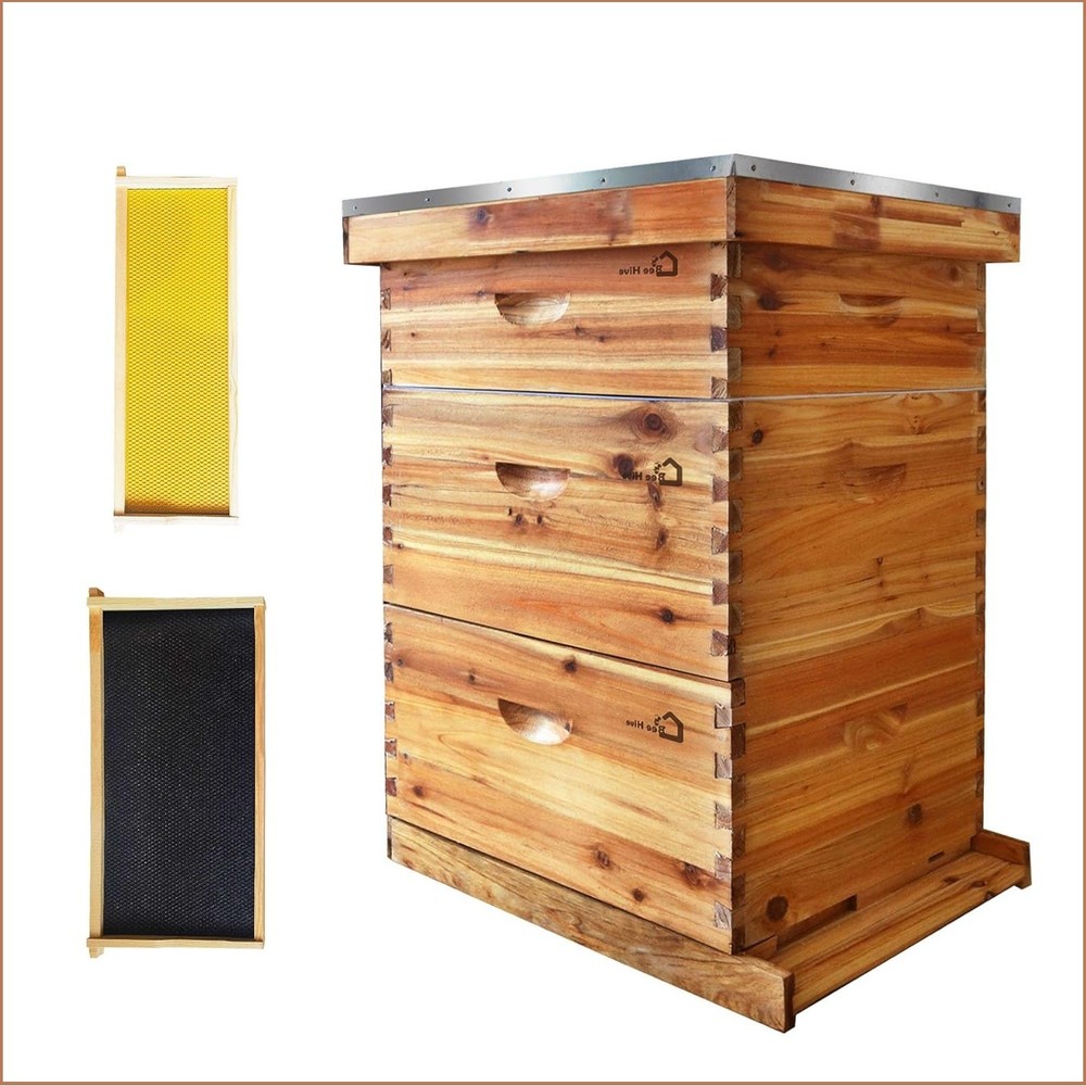 10-Frame Complete Bee Hives Includes 2 Deep Hive Bee Box and 1 Bee Hive Super US