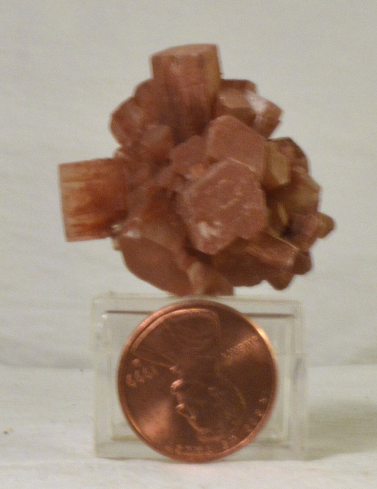 #2704 Aragonite - Tazoota, Morocco