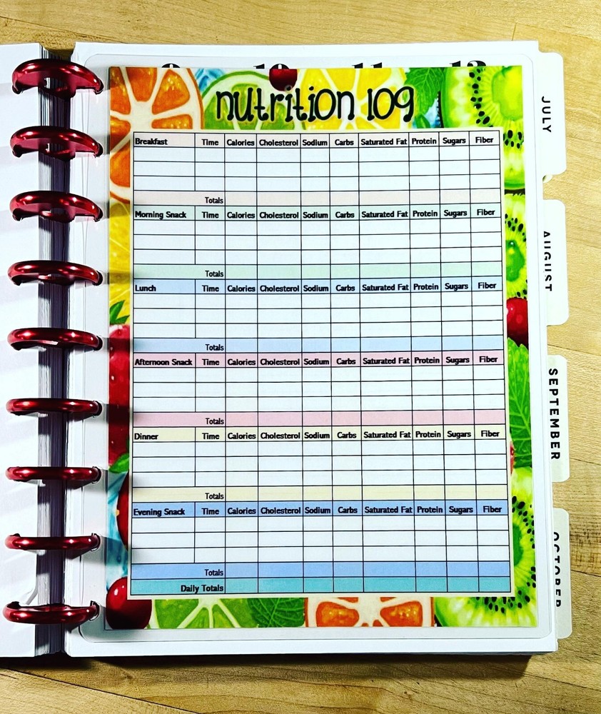 Nutrition Log Dashboard Insert 4 use with HAPPY Planner
