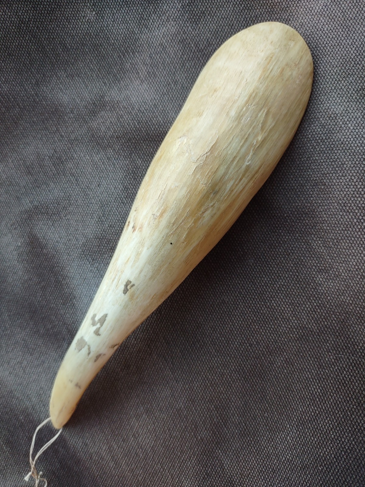 Sioux Sheep Horn Spoon Antique Plains Spoon Goat Horn Scoop Carving 1890