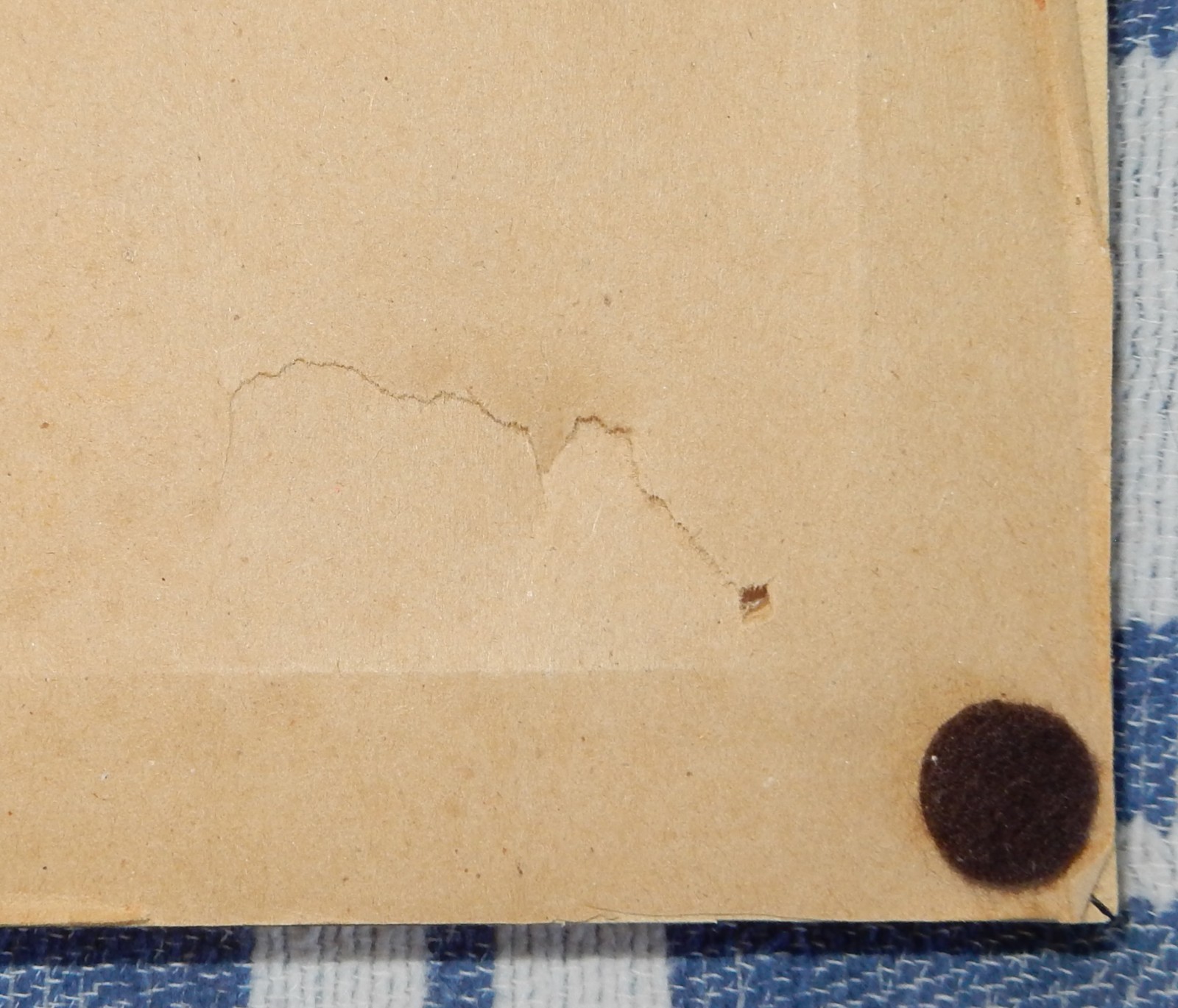 10 x 12" Framed Print of Janis Joplin California Folk-Rock Festival May 18, 1968