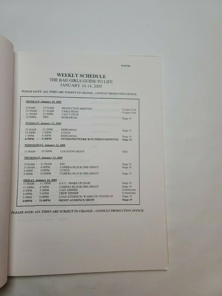 THE BAD GIRL'S GUIDE / Robin Schiff PILOT Script "The Guide to Procrastination"