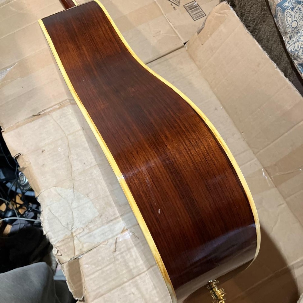 Mysterious Domestic Guild Model