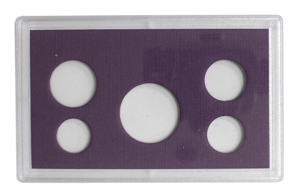 Empty Plastic Lens with Purple Insert B Holds 5 Coins, 5 Pack