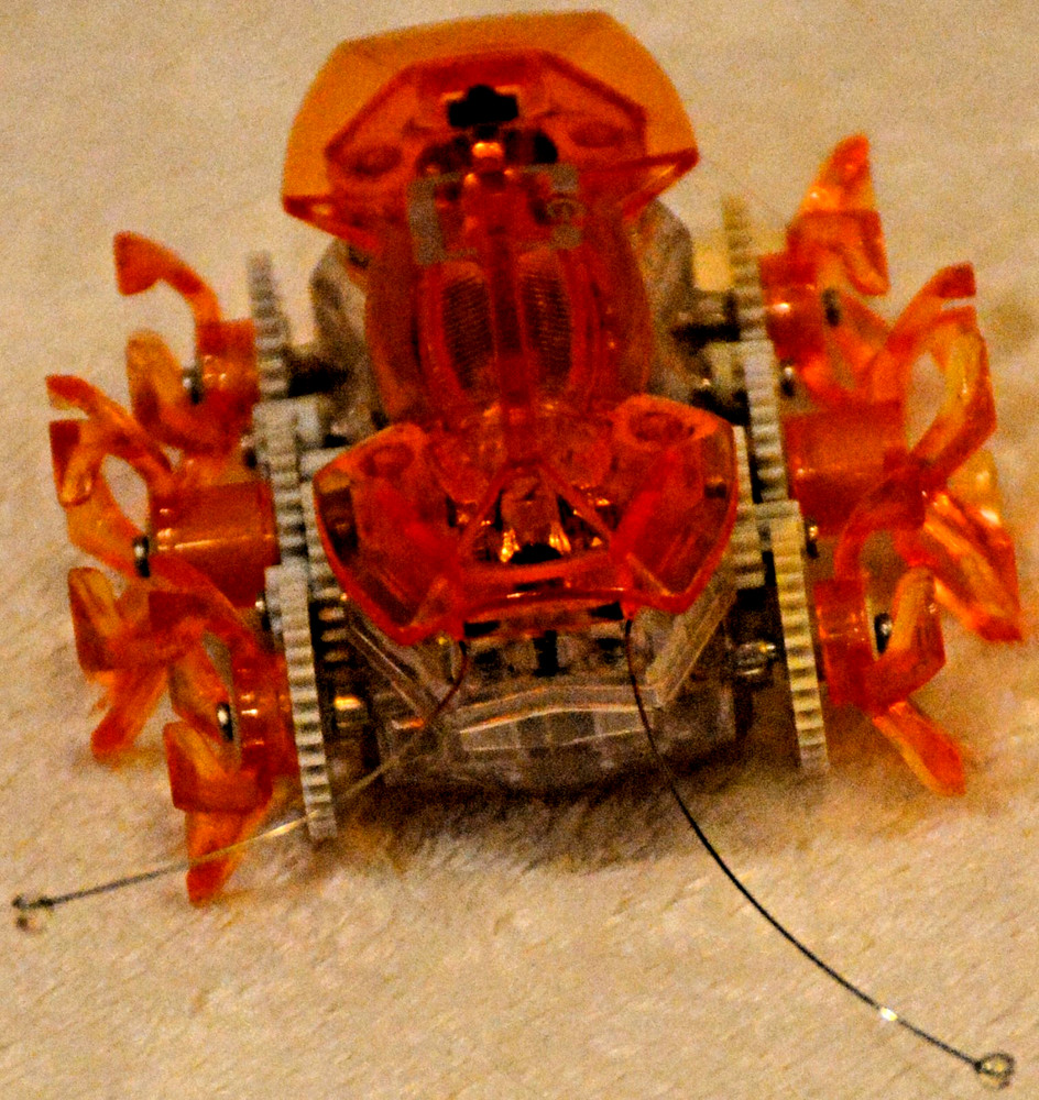 Hexbug Robotic Toys Micro Ant Spider Beetle Insect Creatures Remote Tech Scarab2