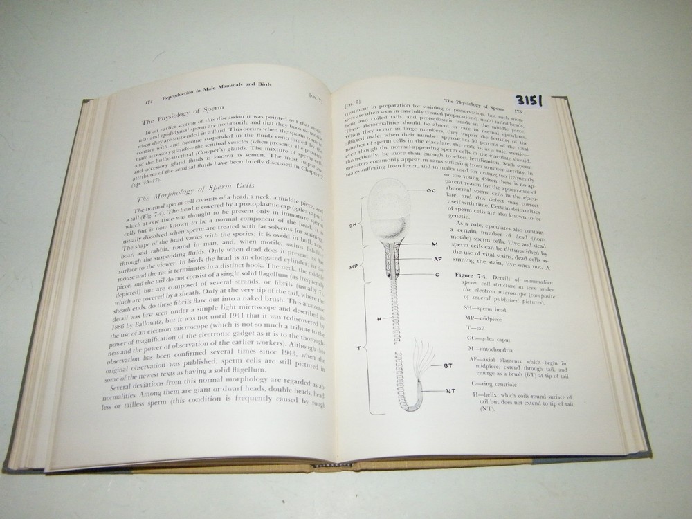 Comparative Reproductive Physiology Animals Man 1958
