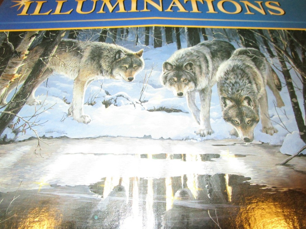 REFLECTIONS REFLETS ~ 1000 PC. PUZZLE FROM EMPIRE, WOLVES, NEW & SEALED