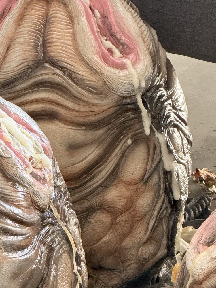 Alien/Xenomorph Eggs