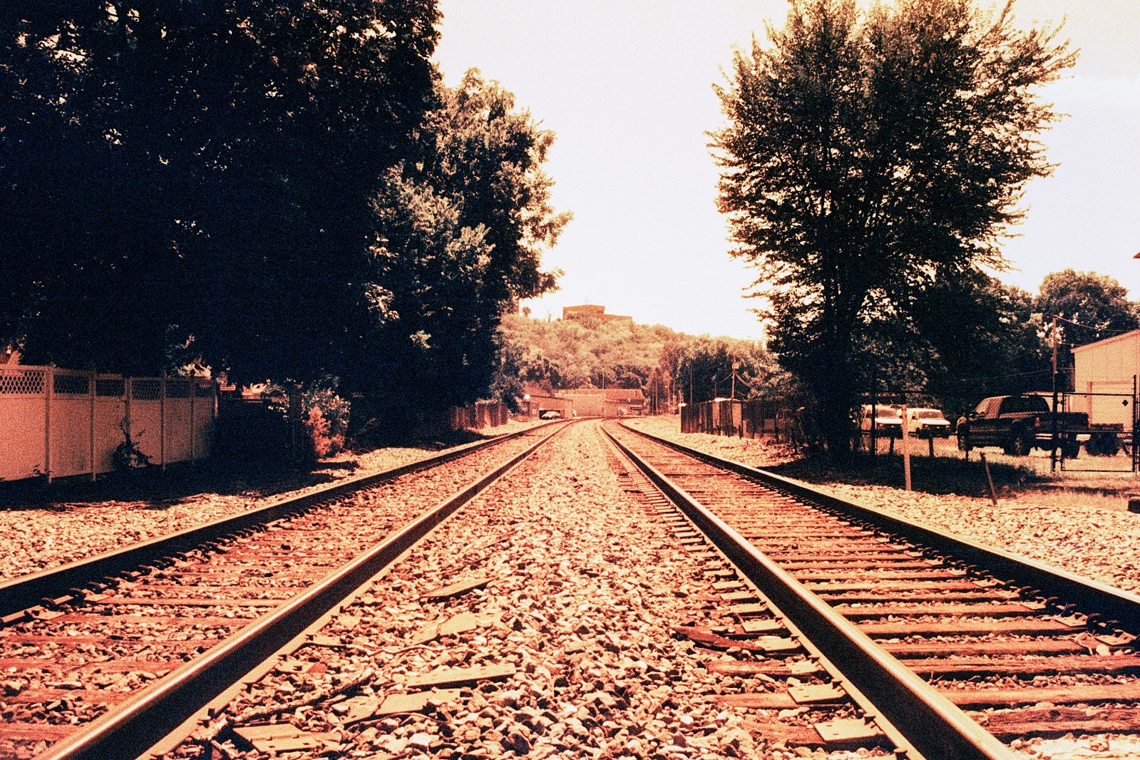 THE MARS PROJECT - BRAND NEW 35mm Color Negative Film 80 ISO - Experimental Fun