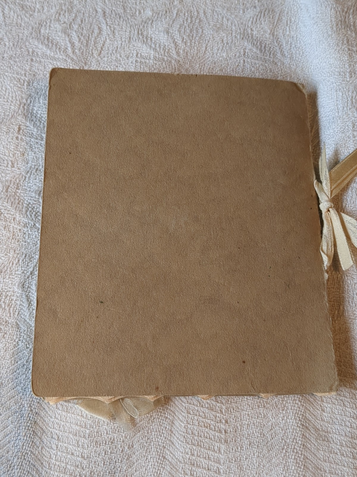 Antique French Lace Needlepoint Catholic Scapular On Card