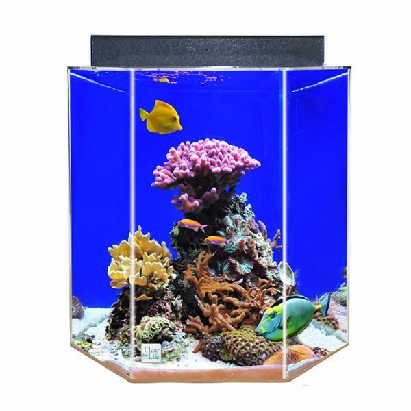 API Hand Held Algae Pad for Acrylic surfaces 3x3 in 2 pack square won't scratch