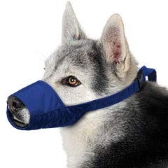Quick Muzzle Large Blue