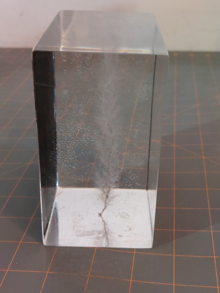 Captured Lightning Lichtenberg Figure Electron Tree Paperweight