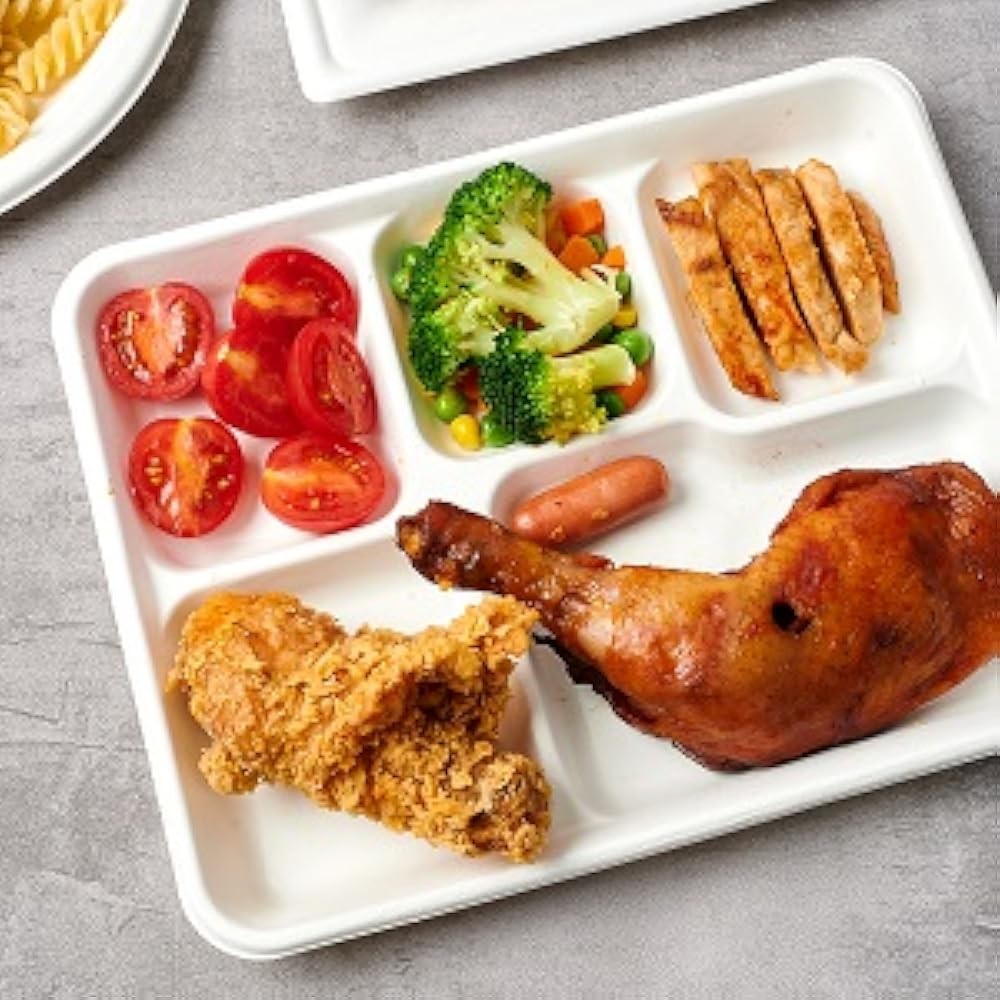 postable 5 partment Plates, Disposable Paper Plates,