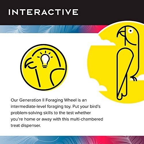 Extra Large Interactive Bird Feeder - Creative Foraging Wheel for Large Birds -