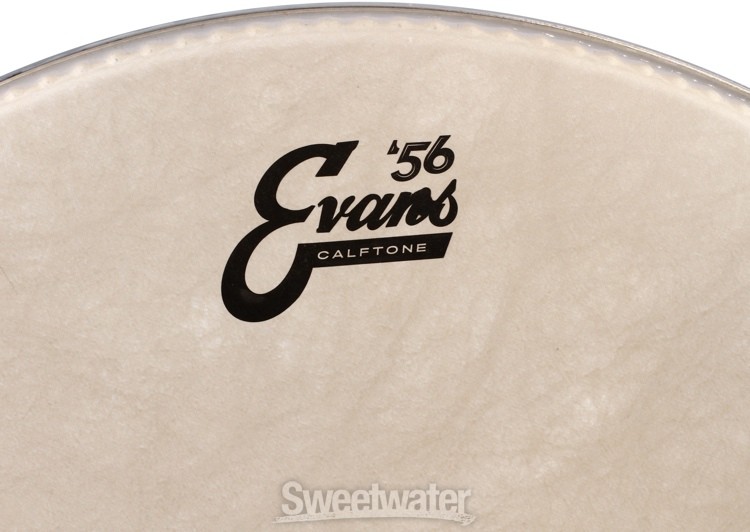 Evans Calftone Drumhead - 18"