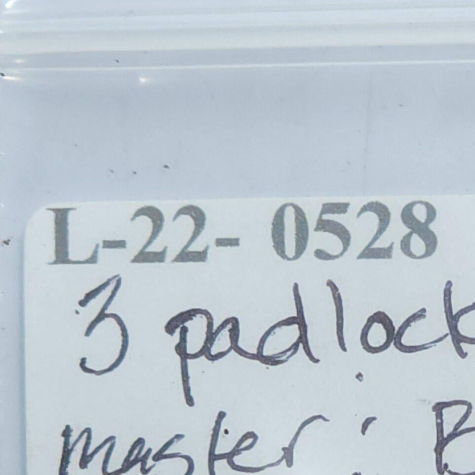 Locksport Lot, 3 padlocks, Master and Bison, 1 w/keys, Locksmith