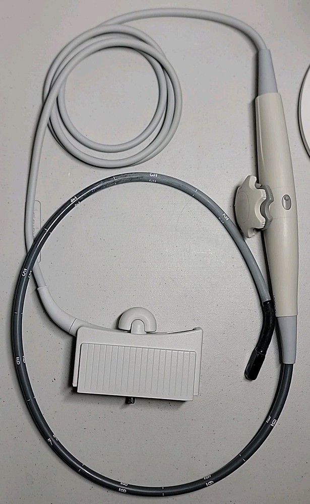 Acuson Transducer/Probe TE-V5M