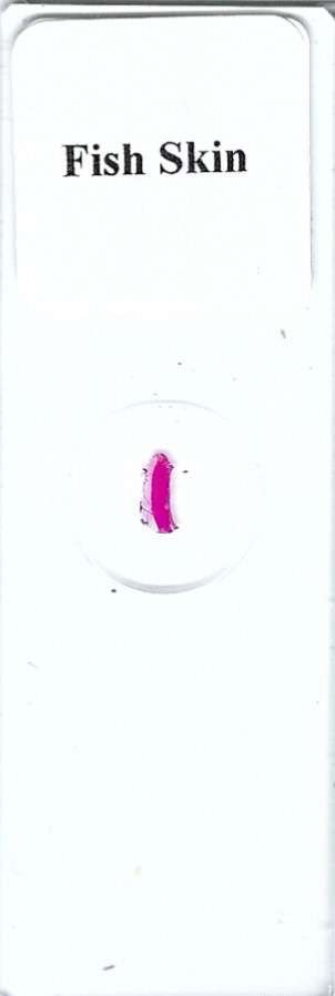 Fish Skin Microscope Slide