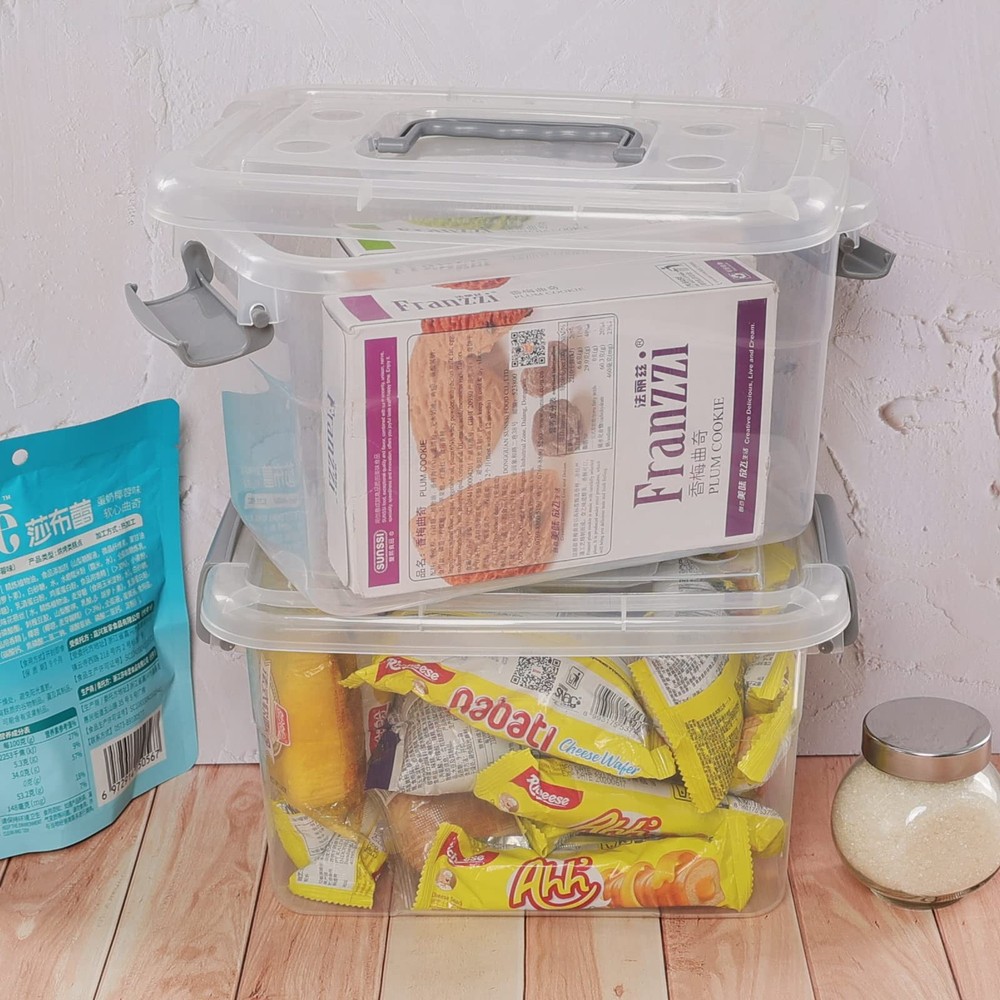Doryh 5 L Plastic Lidded Storage Bin, 6 Pack Clear Latch Container Box with Hand