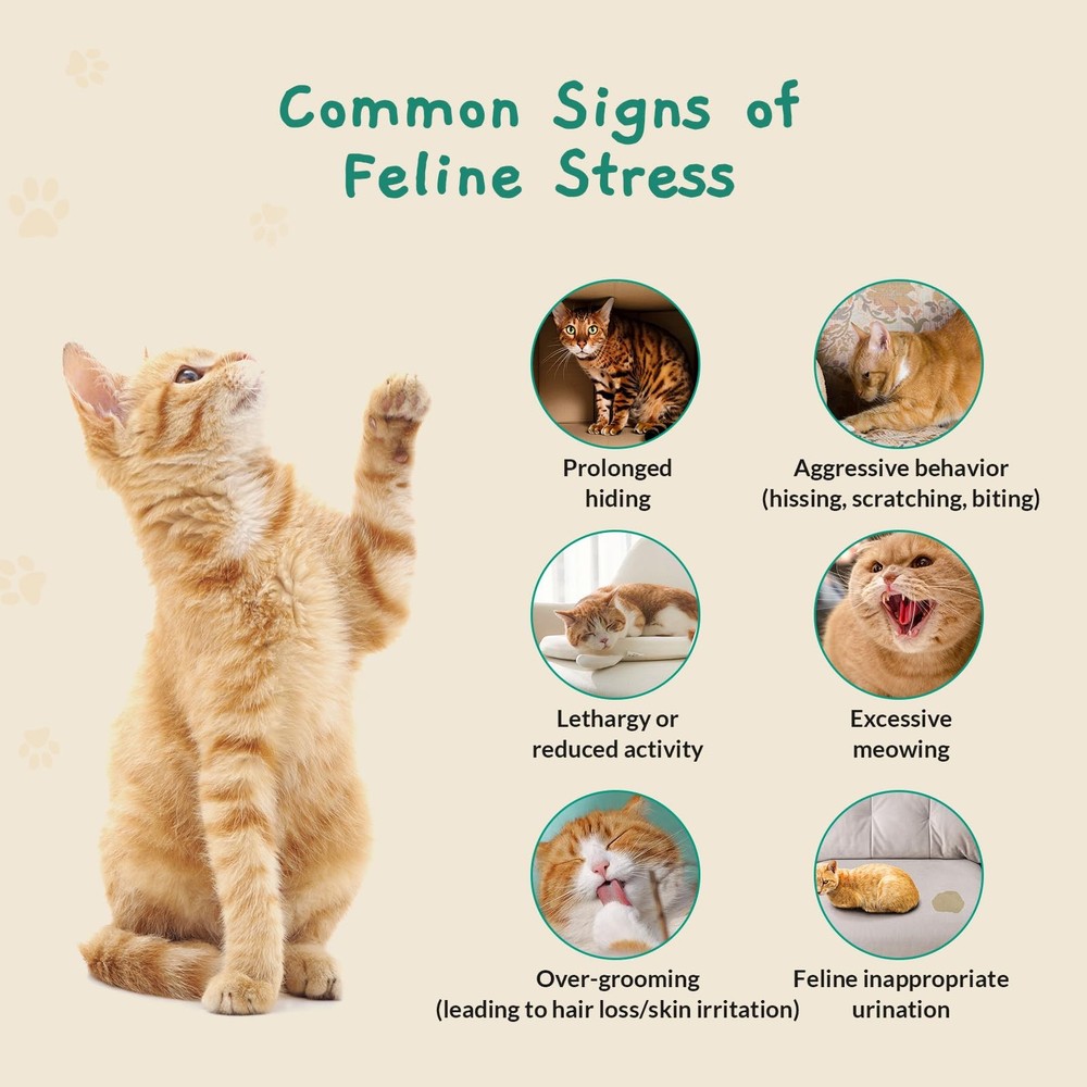 Calming Pop Patch for Cat Travel – Pheromone Diffuser for Cats Reduces Anxiet...